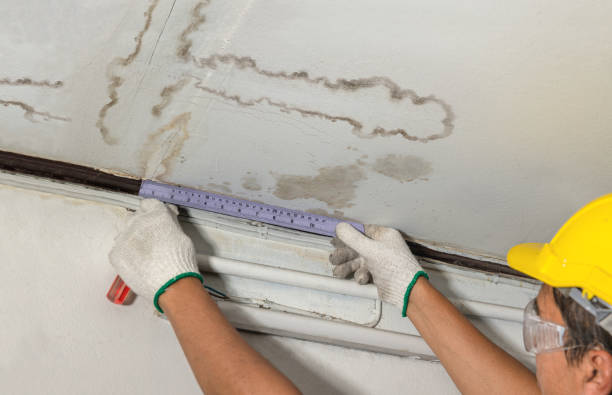 24/7 Emergency Structural Drying experts in Woodville, VA