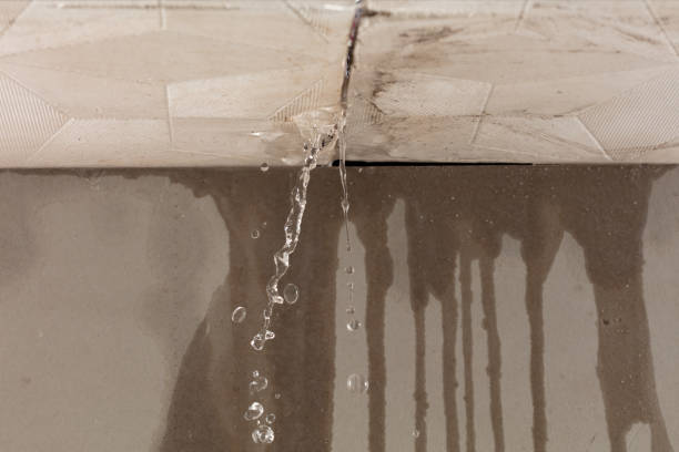 Professional Structural Drying technician working in Woodville, VA